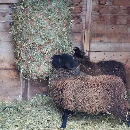 Clos Angelique Feriehus