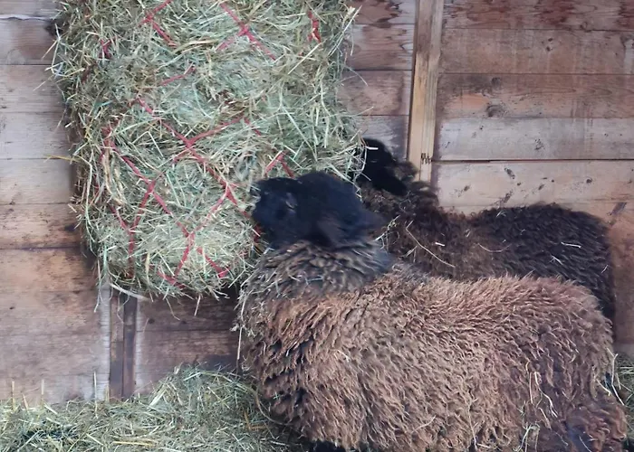 Clos Angelique Holiday home